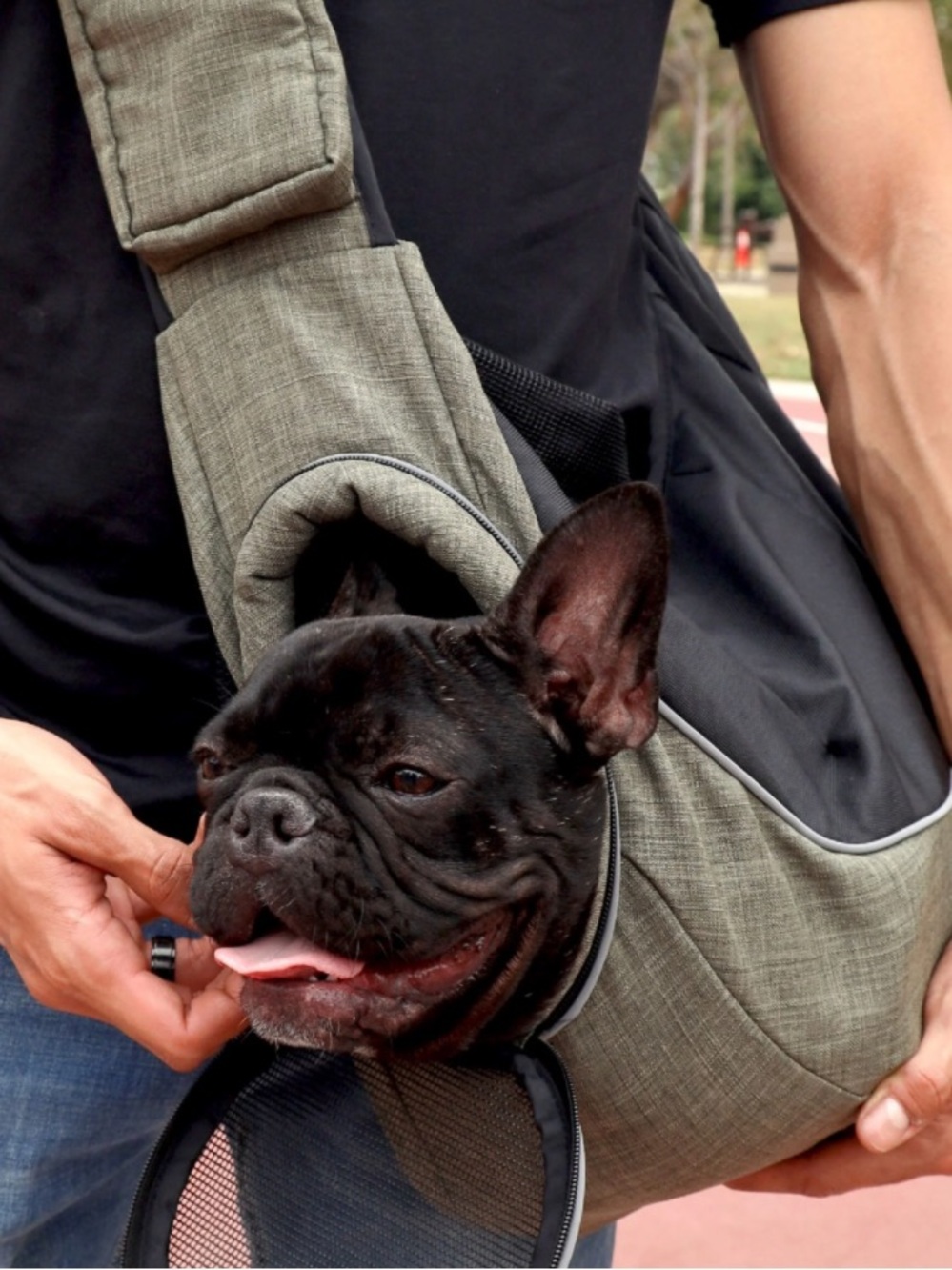 Sling Pet Carrier Hands-Free Crossbody Pet Carrier — Olive Green